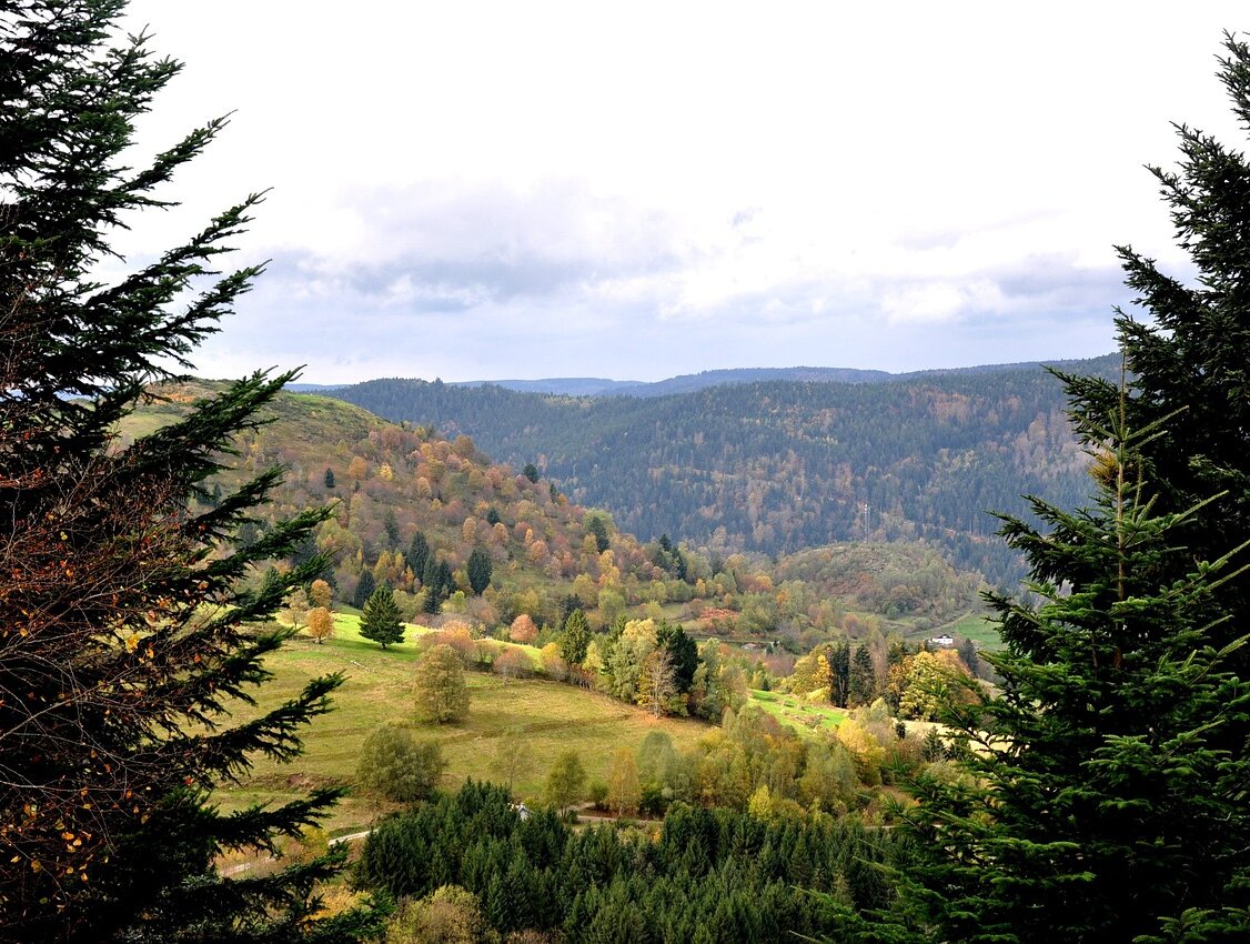 Le laboratoire numérique de Darney dans le département des Vosges a été inauguré le 16 octobre 2024. - © José Fyot (Pixabay)